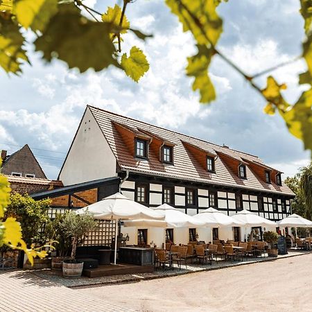 Weingut Schuh - Pension Zur Bosel Coswig  Eksteriør bilde