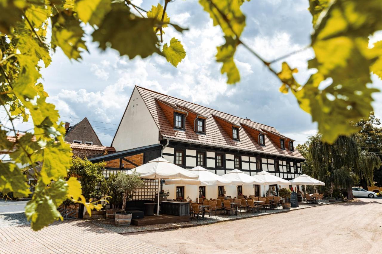 Weingut Schuh - Pension Zur Bosel Coswig  Eksteriør bilde